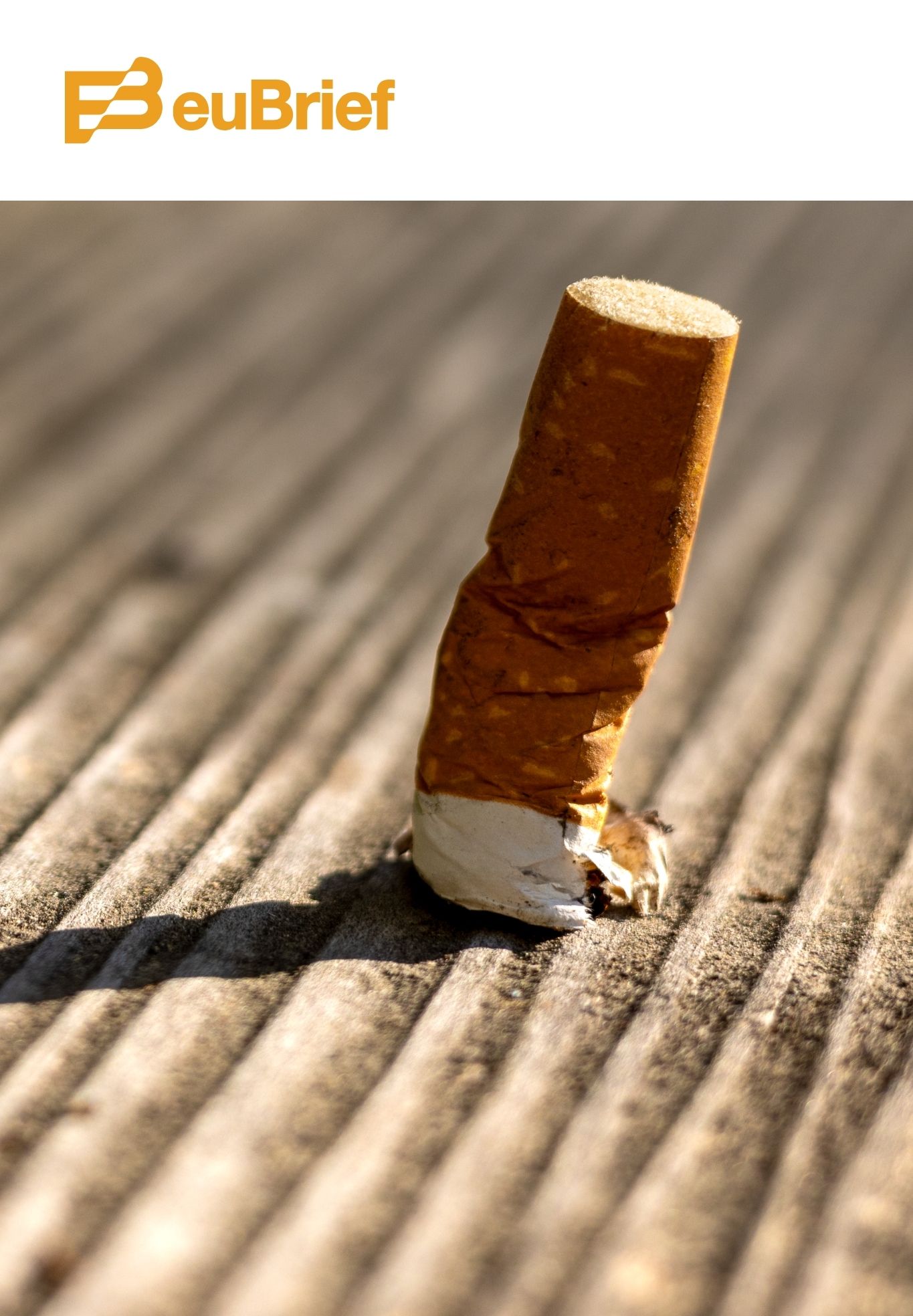 Inštitút pre euBrief k smernici o zdaňovaní tabaku